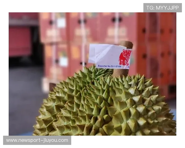 榴莲爱好者必看:揭秘榴莲的独特风味与趣味吃法全攻略 榴莲爱好者必看:揭秘榴莲的独特风味与趣味吃法全攻略